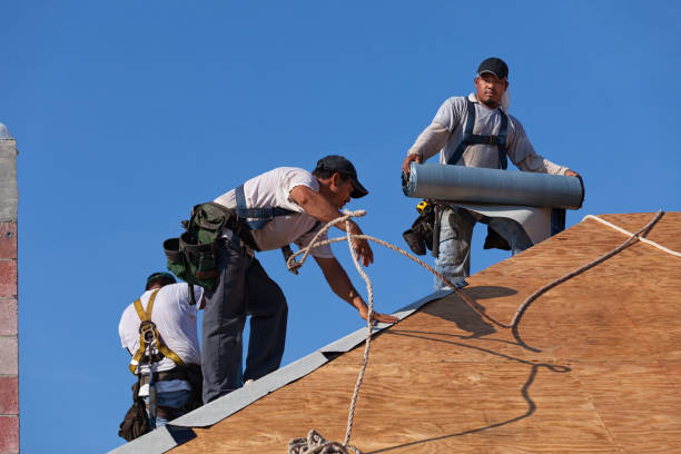 Best Roof Gutter Cleaning  in Locust Grove, GA